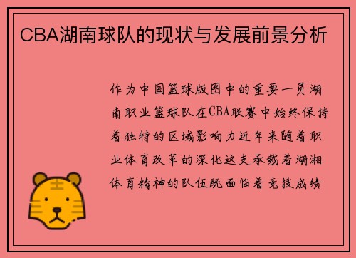 CBA湖南球队的现状与发展前景分析